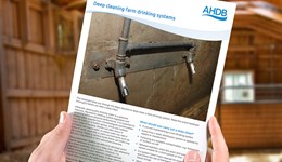 Deep cleaning farm drinking systems (factsheet)